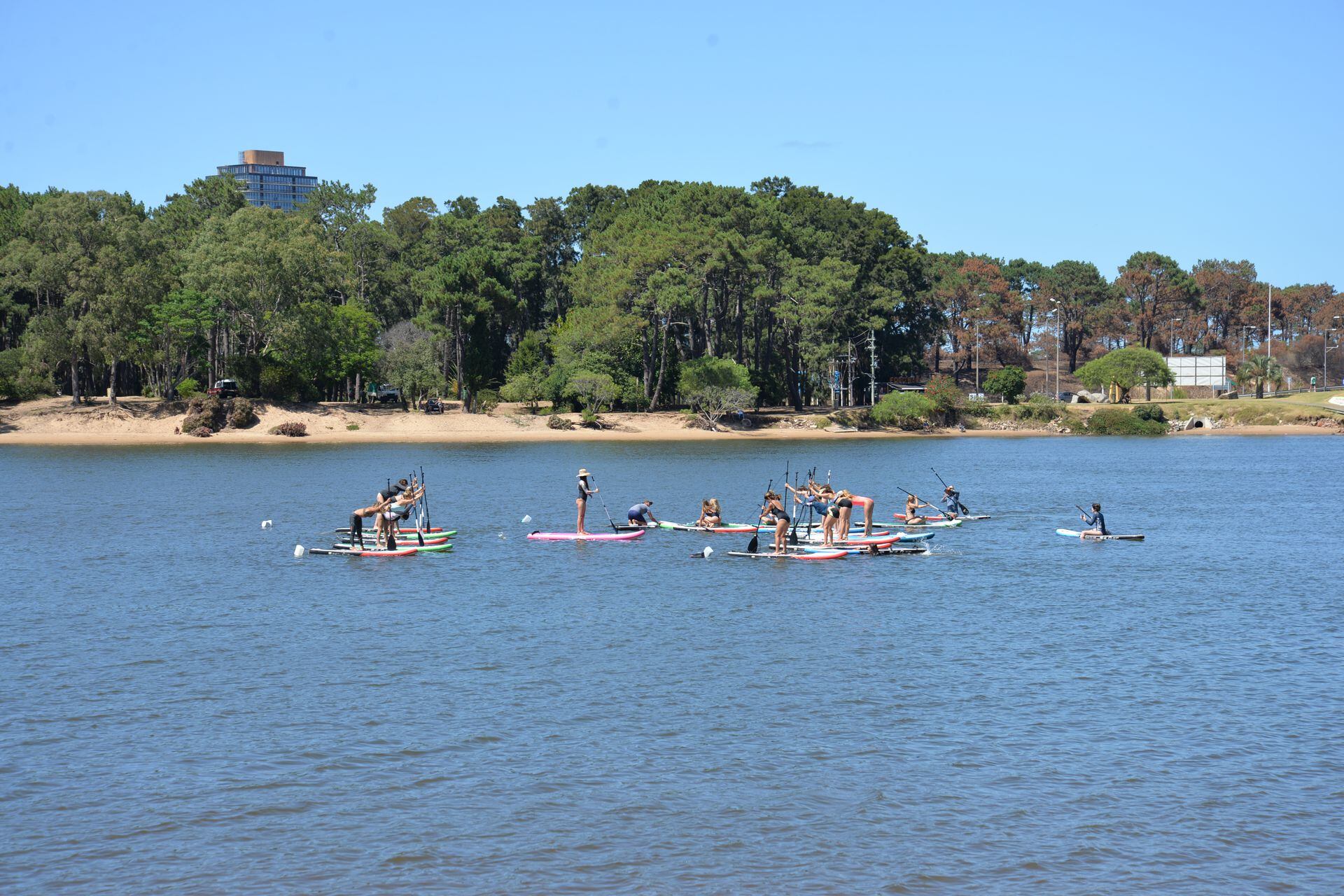 Stand up Paddle Yoga, the sport that became a trend in an atypical summer in Punta del Este