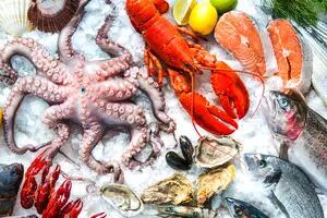 Costa Atlántica: tres platos indispensables para probar en Mar del Plata