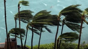 Las costas del sur de EE.UU. se preparan para la llegada del huracán Matthew