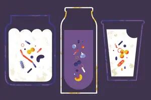 Probióticos: qué son y por qué es bueno consumirlos
