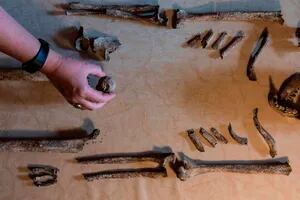Alemania: descubren a "la dama de Bietikow", de más de 5000 años