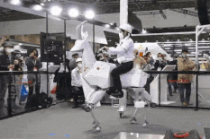 Bex: así es la cabra robot presentada que permite transportar personas