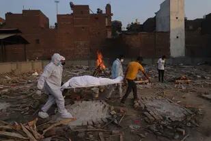 “Hongo negro” en la India: más de 4300 muertos y 45.000 casos de mucormicosis
