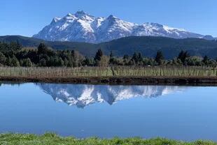 Trevelin posee los viñedos más australes de la Argentina