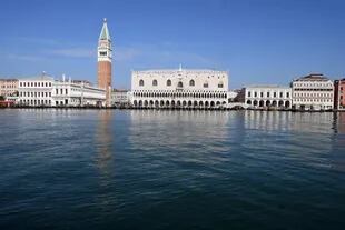 Venecia, sin turistas, se llenó de peces, patos y cisnes, en algunos lugares hasta puede verse el fondo