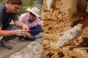 Las inusuales huellas de dinosaurio que encontraron cerca de un río en Colombia