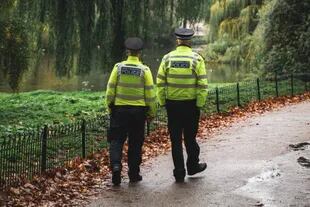 El falso rapto fue reportado a la policía de Wiltshire, y la fuerza inició una investigación que involucró a 22 oficiales