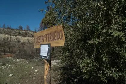 Ocupación Mapuche por parte un grupo de personas que se autodenominan comunidad Lof Quemquemtreu. Ocupan tierras pertenecientes a la familia Rocco, en la zona de Cuesta del Ternero, El Bolsón 20/09/21