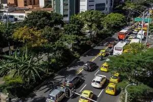 La ciudad colombiana que logró reducir el calor con un entramado de corredores verdes