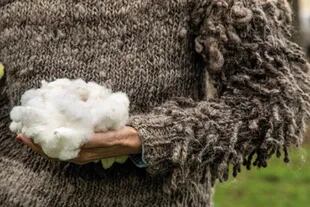 El algodón se destina a la línea de indumentaria de Milagros