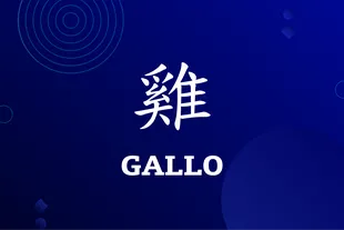 Horóscopo chino del 9 al 14 de agosto: lo que le espera al Gallo