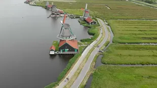 I Paesi Bassi sono famosi per i suoi mulini a vento, ma non perché i suoi abitanti siano abituati a dirlo "mi dispiace"