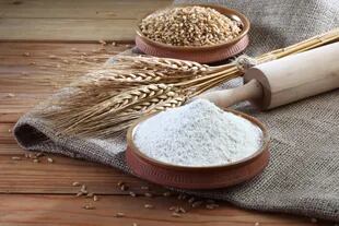 El fondo estatal del trigo se creó para subsidiar la harina que llega a las panaderías