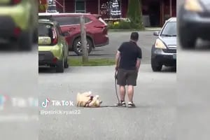 Sacó a pasear a su perro pero un imprevisto hizo que debiera tomar una drástica decisión