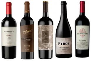 Grandes vinos de Mendoza, Salta y San Juan