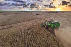 La soja argentina tolerante a sequía ya está aprobada en el 85% del mercado mundial