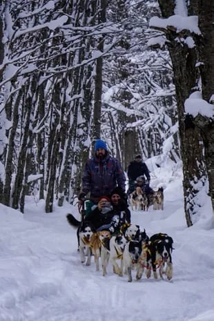 En Llanos del Castor se pueden emprender actividades de aventura exclusivas de la nieve: caminatas con raquetas, esquí de fondo y paseos en trineos tirados por perros