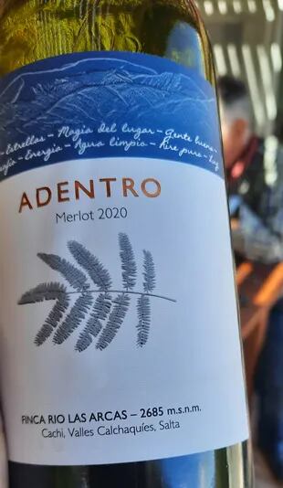 Los vinos de Finca Río Las Arcas se embotellan con la marca Adentro. Hay Merlot y Torrontés.