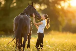 Una terapia reveló que interactuar con caballos ayuda a superar traumas: cómo funciona
