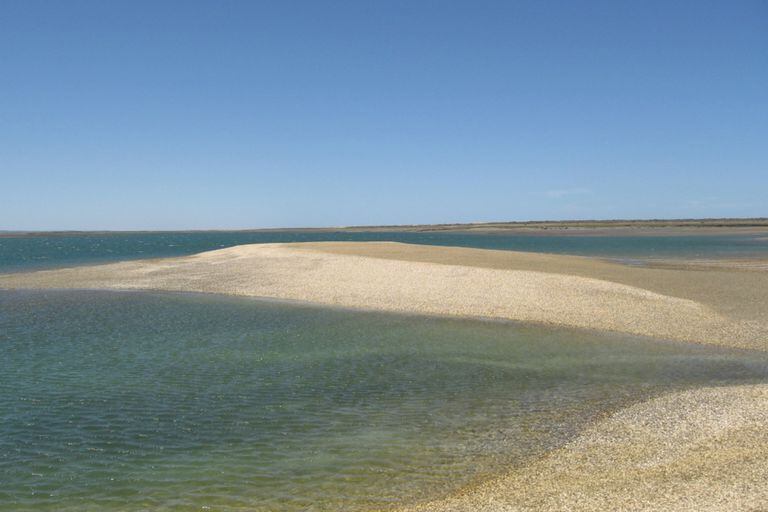 Punta Perdices, un oasis con aguas agradables y "arena" de caracoles triturados por la naturaleza