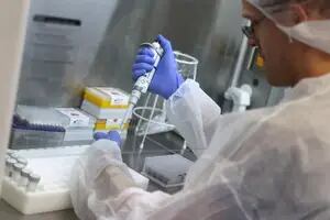 Cepas: ¿ya mostró el coronavirus su versión más peligrosa con las nuevas variantes?