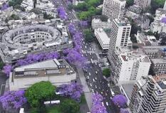 La historia de la icónica foto de Buenos Aires desde arriba, llena de jacarandás