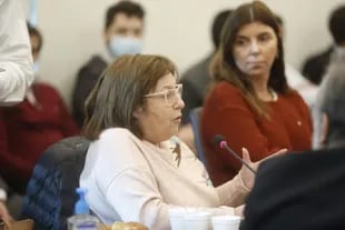 Graciela Ocaña, la diputada que presentó la medida cautelar por la jubilación de Cristina Kirchner