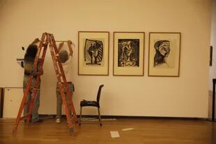 Retratos de algunas musas de Picasso, en pleno montaje de la muestra
