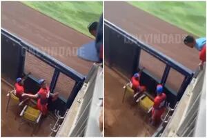 Un jugador de béisbol cubano le tiró un pelotazo a un hincha que lo increpaba desde la tribuna