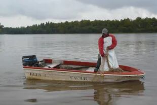 El trabajo de la red de pescadores del delta del Paraná