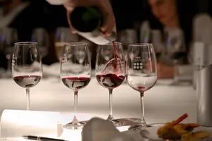 Cinco datos clave para todo amante del vino