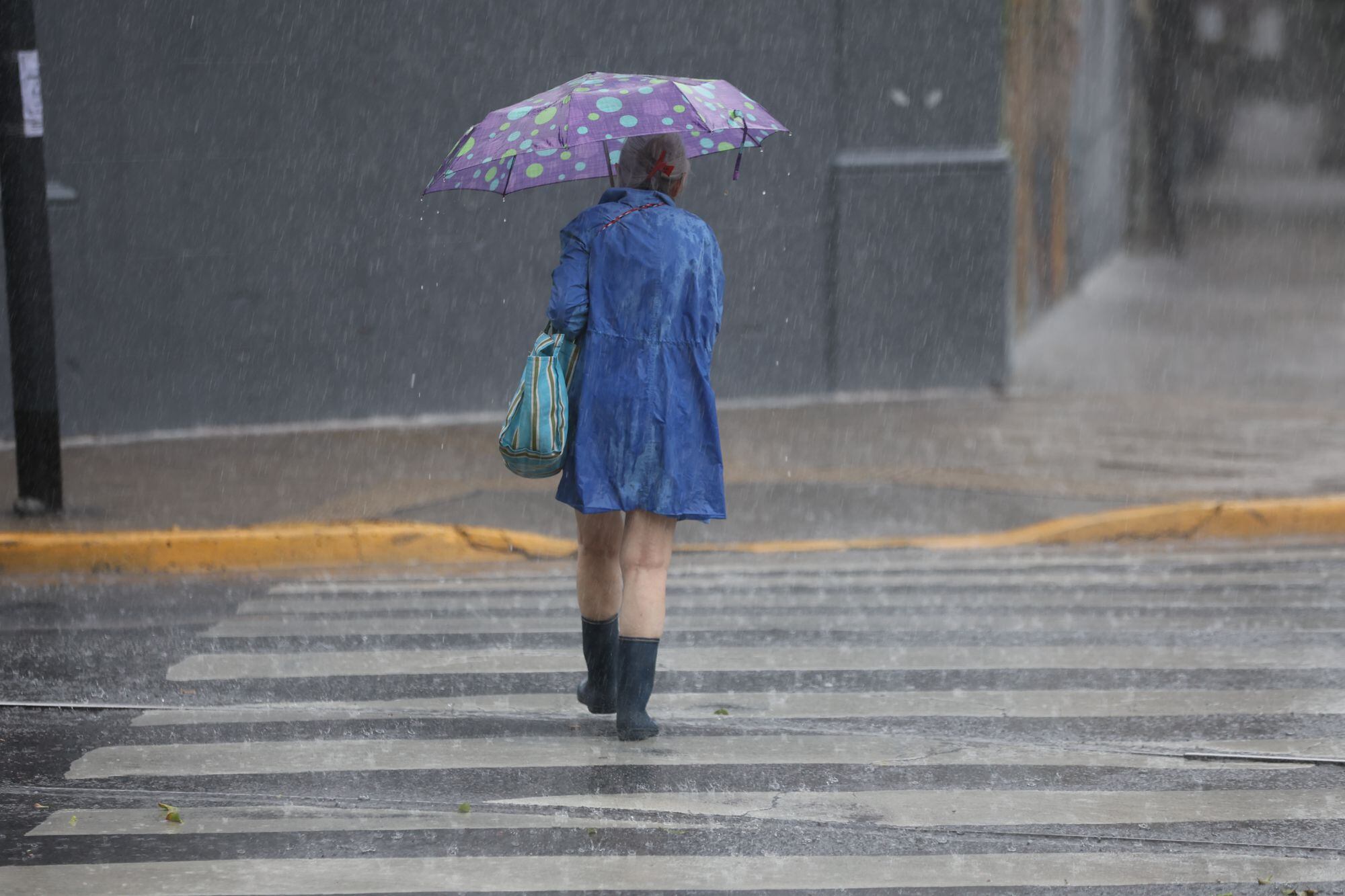 Lluvias, tormentas y caída de granizo: alerta meteorológica en Buenos Aires y otras 10 provincias
