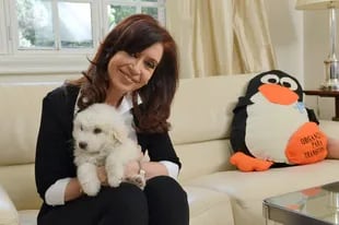Cristina Kirchner en noviembre de 2013, un mes y medio después de la operación del hematoma subdural.