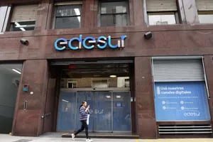 Cuánto vale Edesur y por qué es un ejemplo de la destrucción privada en la Argentina
