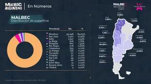 Indudablemente Mendoza es hoy el epicentro, por llamarlo de alguna forma, del Malbec, variedad que se planta hasta en Chubut