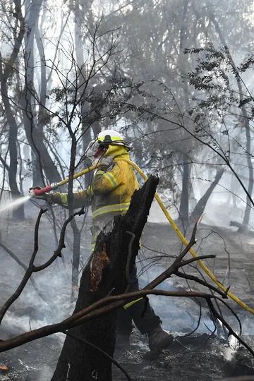 Los bomberos continúan trabajando sin pausa para controlar los incendios que están devastando el este del país asolado por la sequía