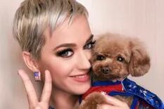 Katy Perry anunció que su perro será vegano