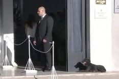 Nala, la perra de Emiliano Sala, estuvo durante horas en la puerta del velatorio