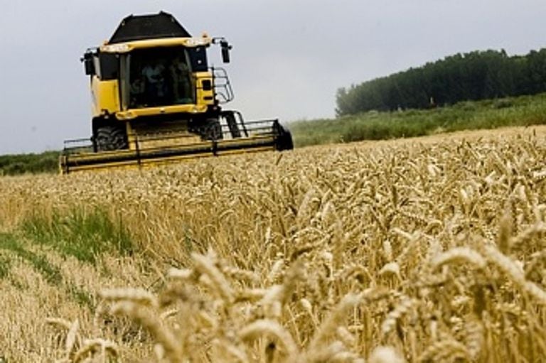 En trigo, las declaraciones para exportar el cereal 2021/2022 están clavadas en poco más de 9 millones de toneladas