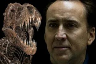 Nicols Cage tiene múltiples fetiches, entre ellos, coleccionar cráneos de dinosaurios