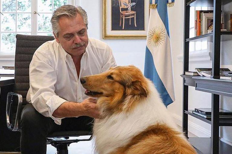 Alberto Fernández junto a su perro Dylan