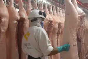 Un frigorífico compró una empresa especializada en la faena de cerdos y revela un ambicioso plan