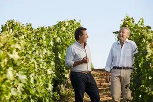 Hijo y padre, los Arizu en el lugar que más los hace felices: los viñedos.