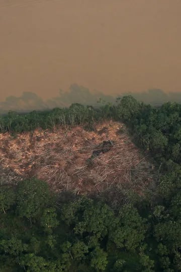 Para grupos ambientalistas internacionales, como Greenpeace y World Wide Fund for Nature, así como para ONG locales, la mayor deforestación es resultado del impulso que ha dado el gobierno de Bolsonaro a la explotación de recursos naturales -minería, tala y ganadería- en áreas protegidas.