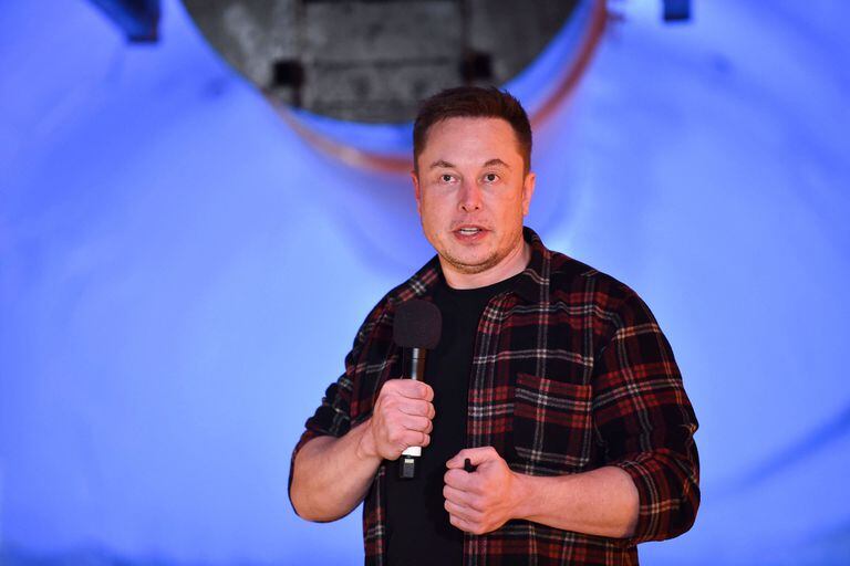 Sucesión complicada: el desafío de hacer olvidar a Elon Musk en Tesla