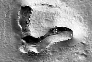 De acuerdo a un comunicado divulgado por una empresa que trabaja para la NASA, la forma del mamífero se compone de una colina desintegrada dentro de un antiguo cráter. 