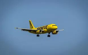  Spirit ofrece también vuelos a México, Caribe y Latinoamérica. Tiene base en Fort Lauderdale y sus tarifas arrancan en los 29 dólares (el precio de una cena)
