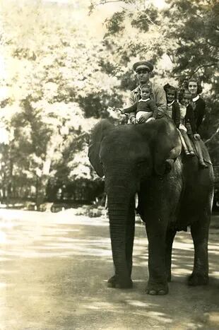 Cada mañana, el elefante Kango recorría el zoológico levantando chicos. En la foto: Eugenio, el cuidador Rodríguez, Estela, Elena y Ernestina.