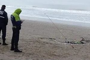 Un pescador tiró su caña al mar, sintió un resistencia fuera de lo habitual y sacó un brazo humano