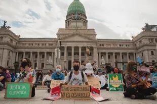 Grupos ambientalistas se manifestaron frente al Congreso. Gentileza: Eco House